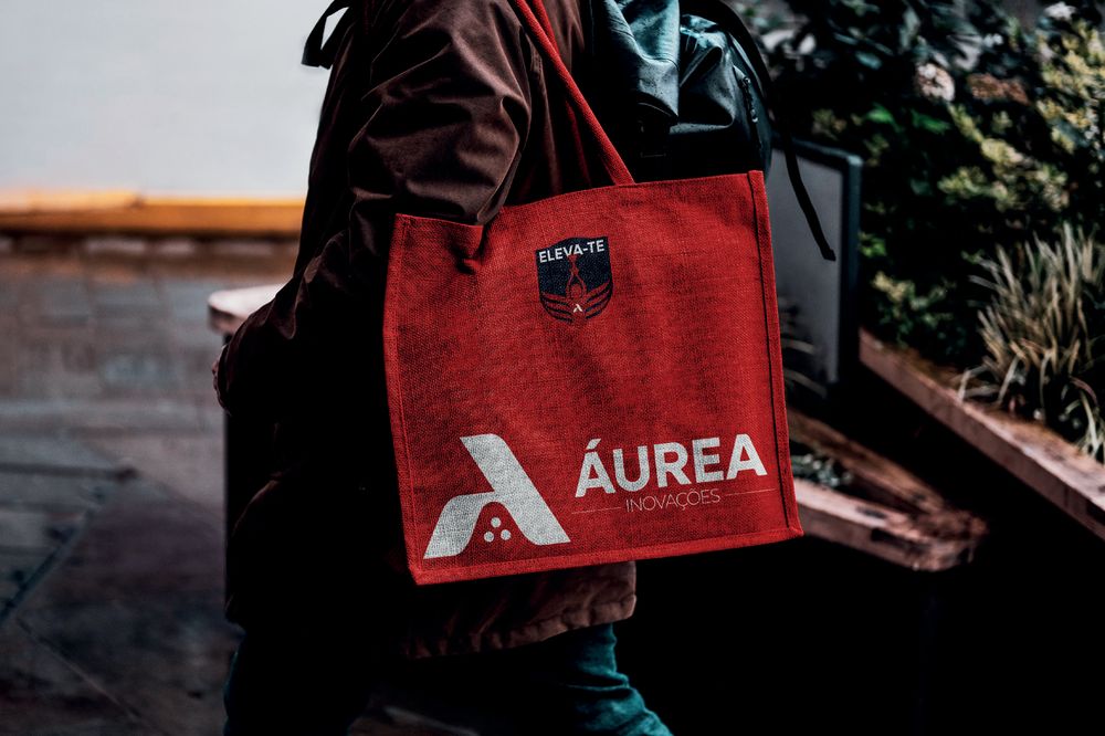Áurea Inovações